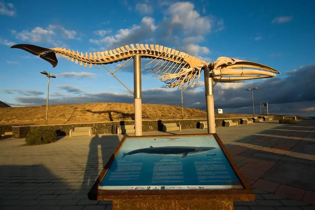Precioso Apto Caleta Interian Beach By Paramount Holidays Caleta de Interian